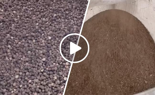 Black Pepper Grinding Machine Video