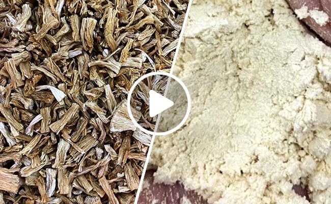 Enoki Mushroom Powder Grinding Machine Video