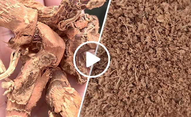 Vacuum Type Coarse Crusher for Galangal / Ginger Video