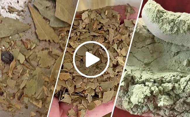 Bay Leaf Ultra-fine Powder Grinding Machine Video