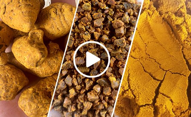 Turmeric Crushing Production Line Video