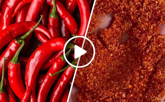 Chili Grinding Machine Video