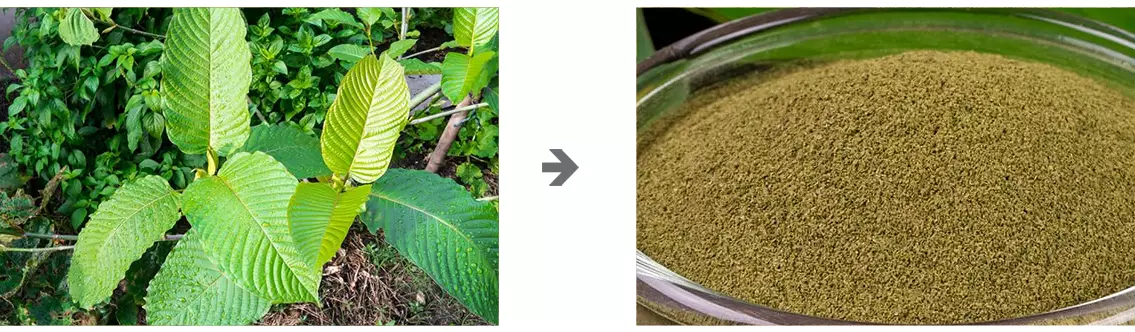 Nano Kratom Powder Grinding Machine