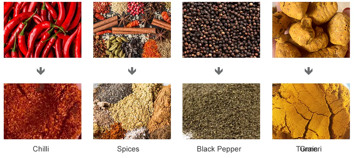 Chili / Spice Processing Equipment